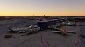 Madrid-Barajas airport LEMD and City for MSFS