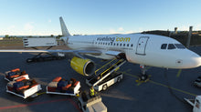 Load image into Gallery viewer, Airbus A319ceo MSFS
