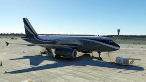Airbus A319ceo MSFS